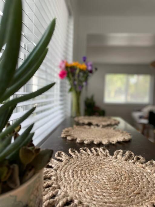 Jungle Cottage With Luxury Pool, Hot Tub And More! Lake Worth Beach Kültér fotó